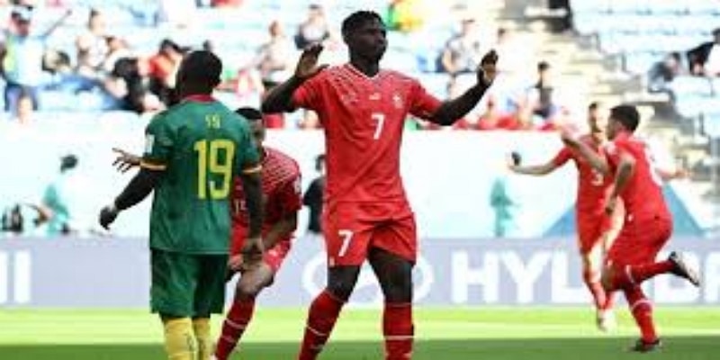 专家观点与未来展望-米兰体育