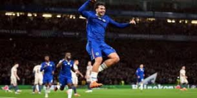 赛前观察：黄蜂的生存战与狐狸的欧冠梦- 米兰体育