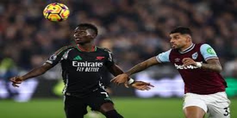 可持续生态系统如何融入球场设计- 米兰体育