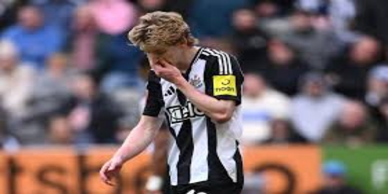 红牌事件回顾：戈登动作引发争议-米兰体育